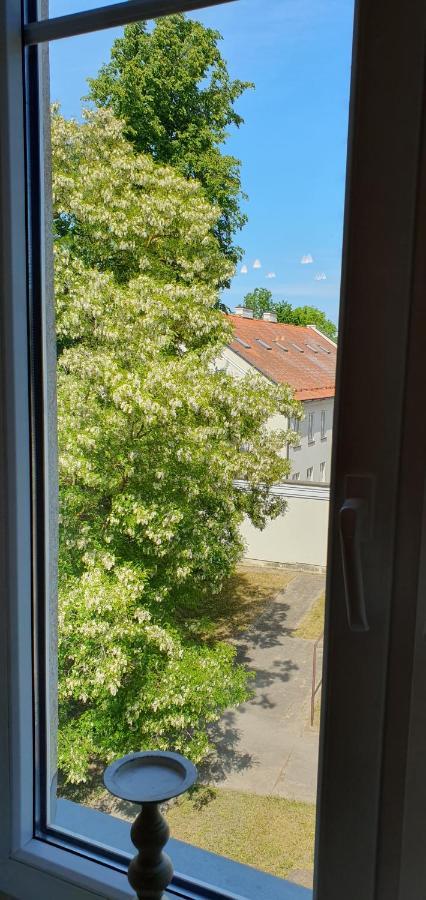 Kalnelio Apartment Klaipėda Exteriör bild